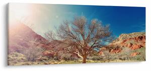 Fa a sivatagban képe (120x50 cm)