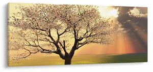 Fa képe a réten (120x50 cm)