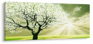 Fa képe a réten (120x50 cm)