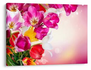 Tulipán képe (70x50 cm)