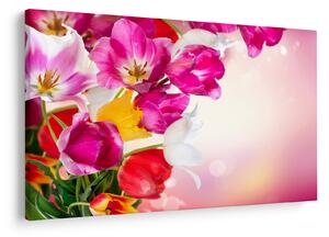 Tulipán képe (90x60 cm)