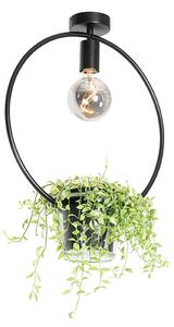 Modern mennyezeti lámpa fekete kör üveggel - Roslini