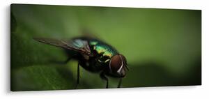 Kép - Légy (120x50 cm)