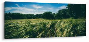 Rét és az erdő képe (120x50 cm)
