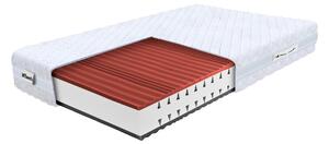 ARGENTO egészségügyi habszivacs matrac 100x200x22 - Silver huzat