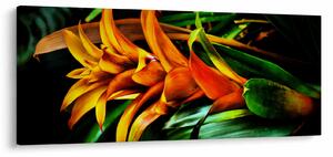Narancssárga csokor képe (120x50 cm)