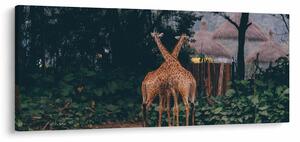 Két zsiráf képe (120x50 cm)