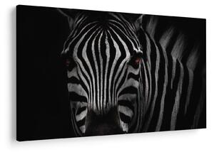 Zebra képe (90x60 cm)