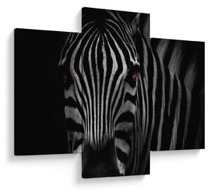 Zebra képe (90x60 cm)