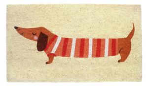 Kókuszrost lábtörlő 43x73 cm Sausage Dog – Rex London