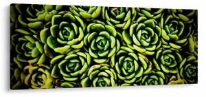 Sziklák képe (120x50 cm)