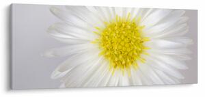 Kép - Margarita (120x50 cm)