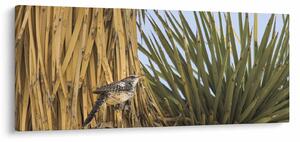 Kép - Ökörszem (120x50 cm)