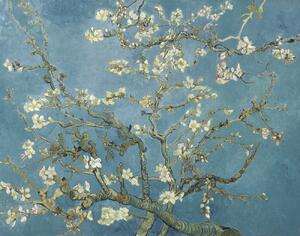 Vincent van Gogh - Festmény reprodukció Vincent van Gogh - Almond Blossoms, (40 x 30 cm)