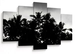 A fekete-fehér pálmafák képe (150x105 cm)