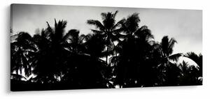 A fekete-fehér pálmafák képe (120x50 cm)
