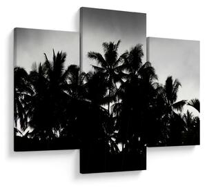 A fekete-fehér pálmafák képe (90x60 cm)
