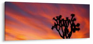Naplemente egy fa sziluettje felett (120x50 cm)
