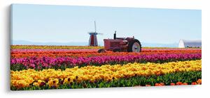 Tulipánfarm képe (120x50 cm)