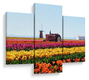 Tulipánfarm képe (90x60 cm)