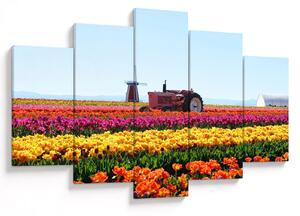 Tulipánfarm képe (150x105 cm)