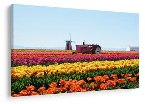 Tulipánfarm képe (90x60 cm)