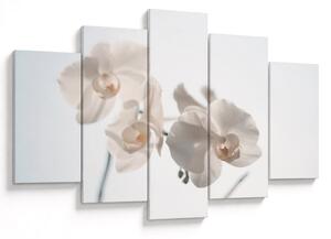 Fehér orchidea képe (150x105 cm)