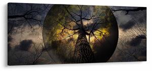 Kép - Titokzatos ég (120x50 cm)