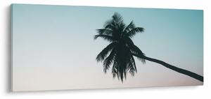 Kép - Pálmafa Balin (120x50 cm)