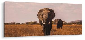 Kép - Az elefánt érkezése (120x50 cm)