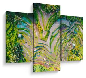 A rizsföldek képe madártávlatból (90x60 cm)