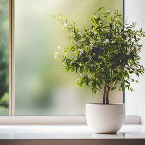 Átlátszó ablakfólia finom homok - szélesség 122 cm