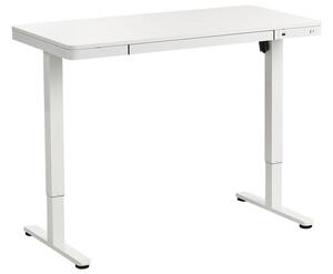Elektromosan állítható asztal PENLY Fehér 120 cm 60 cm USB porttal