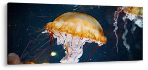 Medúza képe (120x50 cm)