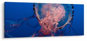 Medúza képe (120x50 cm)