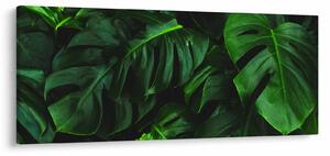 Monstery levelek képe (120x50 cm)