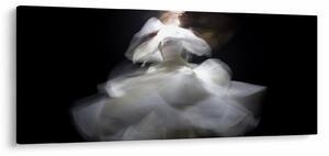 Lótuszvirág képe (120x50 cm)