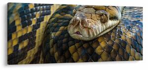 Kép - Piton (120x50 cm)