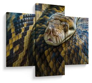Kép - Piton (90x60 cm)