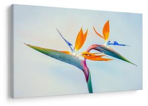 Virág képe (90x60 cm)