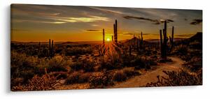 Kép - A nap vége az arizonai sivatagban (120x50 cm)