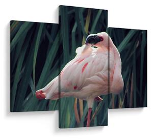 Kép - Flamingó (90x60 cm)