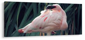 Kép - Flamingó (120x50 cm)