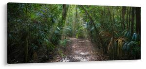 Kép - Napsugarak a dzsungelben (120x50 cm)