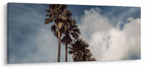 Kép - Pálma dráma (120x50 cm)