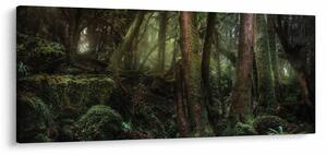 Kép - Titokzatos erdő (120x50 cm)