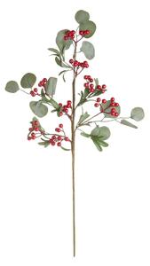 FLORISTA eukaliptusz ág piros bogyókkal 70cm