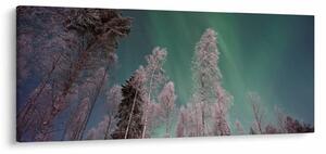 Az aurora borealis képe fagyos fák felett (120x50 cm)