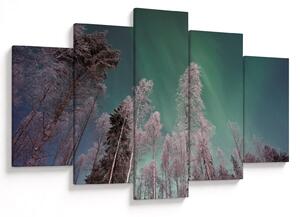 Az aurora borealis képe fagyos fák felett (150x105 cm)