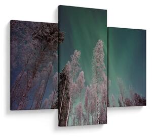 Az aurora borealis képe fagyos fák felett (90x60 cm)